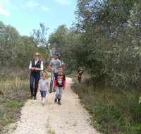 Meningie Lions Walking Trail - Gold Coast Attractions