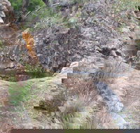 Mill-bullah Walking Track - Gold Coast Attractions