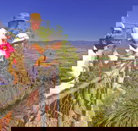 Moogerah Peaks National Park - Gold Coast Attractions