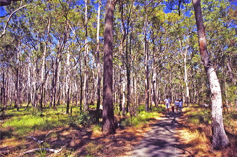 Moogerah Peaks National Park - Gold Coast Attractions 1