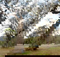 Moolarben Picnic Area - Gold Coast Attractions