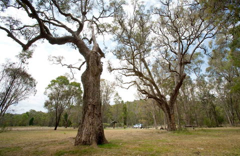 Moolarben Picnic Area - Gold Coast Attractions 0