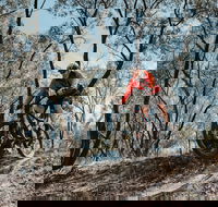 Mountain Bike Trails Deniliquin - Gold Coast Attractions