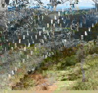 Mount Towac Walk - Gold Coast Attractions
