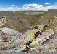 Munghorn Gap Nature Reserve - Gold Coast Attractions