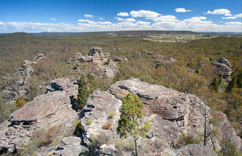 Munghorn Gap Nature Reserve - Gold Coast Attractions 0