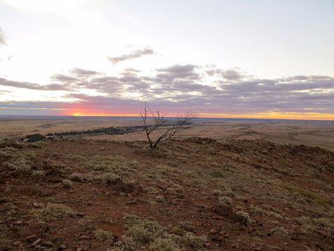 Mundi Mundi Plains - Gold Coast Attractions 0