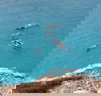 Nullarbor National Park - Gold Coast Attractions