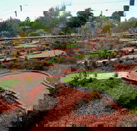 Orange Mini Golf - Gold Coast Attractions