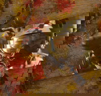 Paintball Sports - Gold Coast Attractions