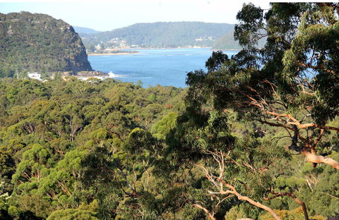 Patonga To Pearl Beach Walking Track - Gold Coast Attractions 0