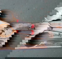 Phoenix Creations - Gold Coast Attractions