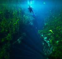 Piccaninnie Ponds Conservation Park - Gold Coast Attractions