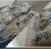 Pioneer Valley Museum - Gold Coast Attractions