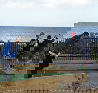 Port Vincent Putt Putt - Gold Coast Attractions