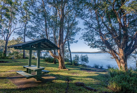 Queens Lake Picnic Area - Gold Coast Attractions 0