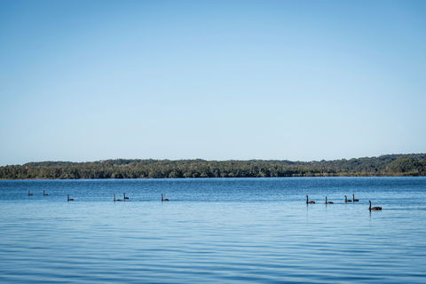 Queens Lake Picnic Area - Gold Coast Attractions 1