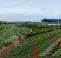 Razorback Cawdor Camden Park - Gold Coast Attractions