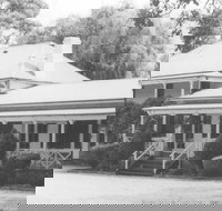 Razorback - Gold Coast Attractions