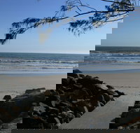 Shark Bay - Gold Coast Attractions