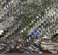 Six Mile Creek Bluff Lookout and Little White Rock Trails - Gold Coast Attractions