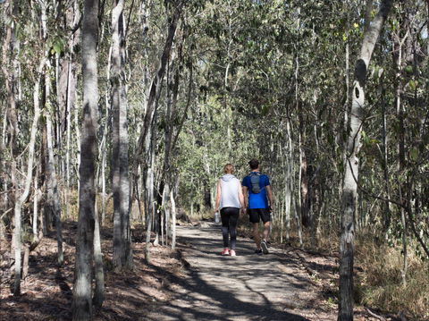 Six Mile Creek, Bluff Lookout And Little White Rock Trails - Gold Coast Attractions 0
