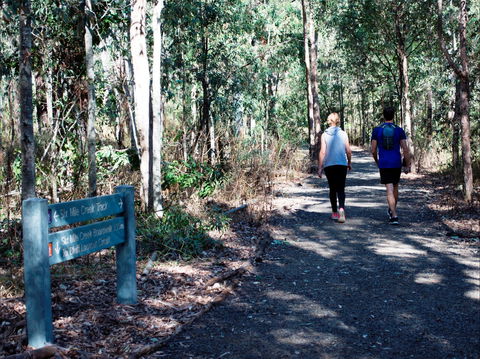 Six Mile Creek, Bluff Lookout And Little White Rock Trails - Gold Coast Attractions 2