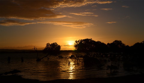 Southend Curtis Island - Gold Coast Attractions 0