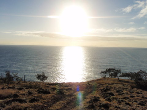 Southend Curtis Island - Gold Coast Attractions 1