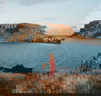 The Nut - Gold Coast Attractions