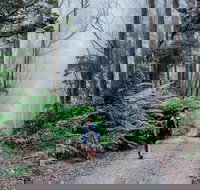 The Corn Trail Walking Track - Gold Coast Attractions