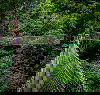 Thunderbird Park  - Tamborine Mountain Gold Coast Region - Gold Coast Attractions