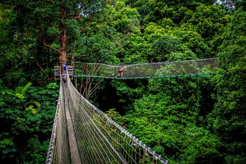 Thunderbird Park ® - Tamborine Mountain, Gold Coast Region - Gold Coast Attractions 0