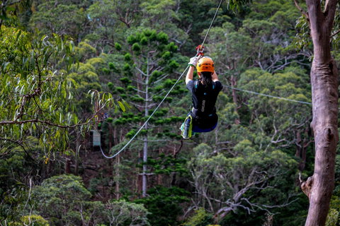 Thunderbird Park ® - Tamborine Mountain, Gold Coast Region - Gold Coast Attractions 2
