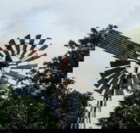 Tinaberries - Gold Coast Attractions