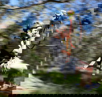 TreeTops Western Sydney - Gold Coast Attractions