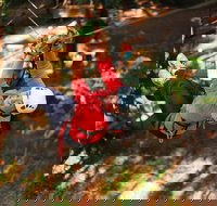 Trees Adventure - Glen Harrow Park - Gold Coast Attractions