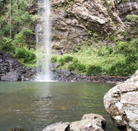 Twin Falls Circuit Springbrook National Park