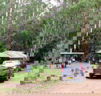 Wallingat Forest Drive - Gold Coast Attractions