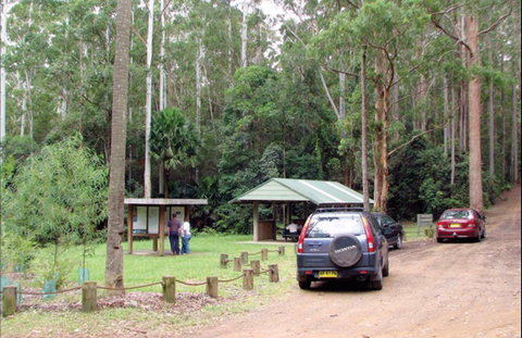 Wallingat Forest Drive - Gold Coast Attractions 0