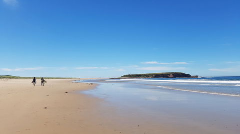 Warilla - Gold Coast Attractions 0