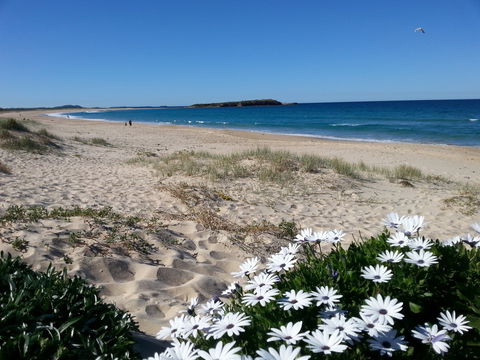 Warilla - Gold Coast Attractions 1