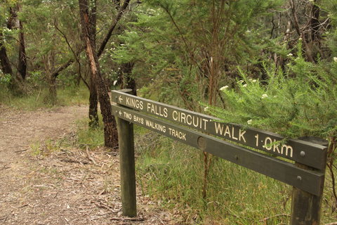 Waterfall Gully - Kings Falls Circuit Walk - Gold Coast Attractions 0