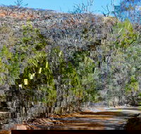 Weddin Gap to Black Spring Loop Trail - Gold Coast Attractions