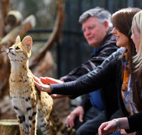 Werribee Open Range Zoo - Gold Coast Attractions