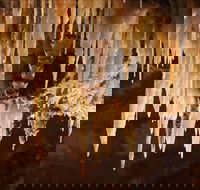 Wollondilly Cave - Gold Coast Attractions