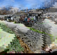 Wynlen House Tour a Unique Urban Regenerative Farm and Market Garden - Gold Coast Attractions