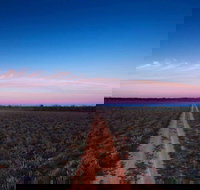 Yanga National Park - Gold Coast Attractions