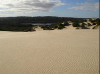 Yeagerup Sand Dunes