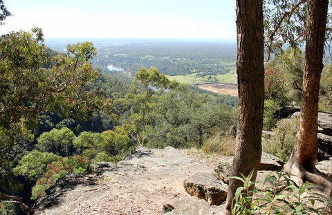 Yellow Rock Lookout - Gold Coast Attractions 0